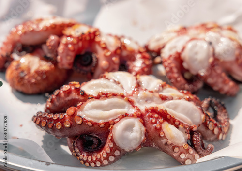 Fototapeta Naklejka Na Ścianę i Meble -  Freshly grilled octopused on a plate outdoor, Italy. Traditional Mediterranean cuisine.