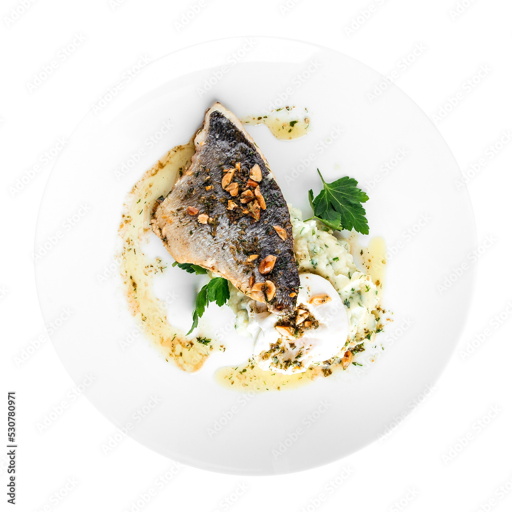 Plate of gourmet grilled fish fillet on white background