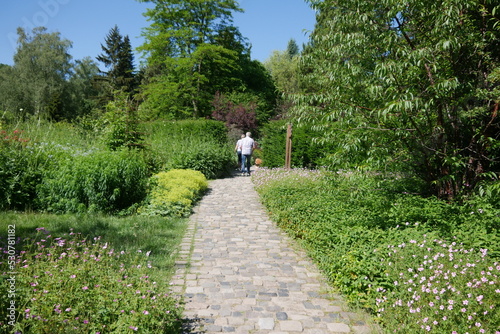 Gartenweg mit Blumen im Staudengarten Rombergpark Dortmund © Falko Göthel