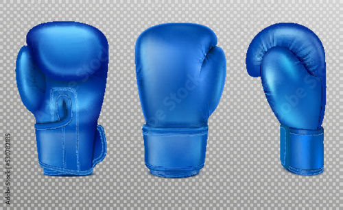 Blue Boxing Gloves Set