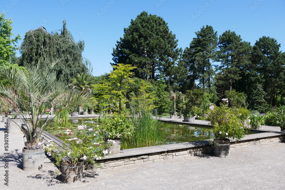 Wasserbecken im Rombergpark in Dortmund
