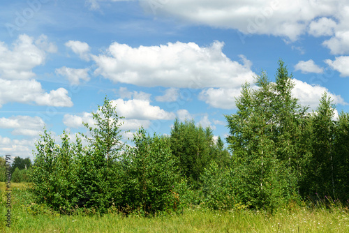 Summer landscape forest blue sky, flying clouds, nature. Space for copying text