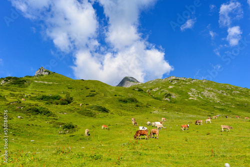 Lechquellengebirge in Vorarlberg, Österreich 