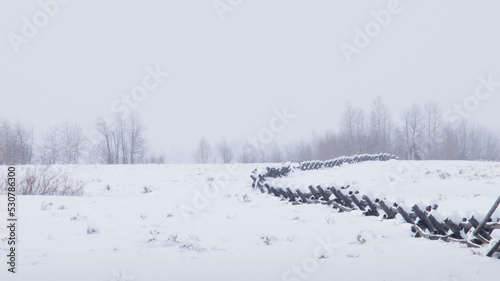 Winter wonderland © arinahabich