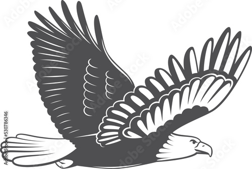 Flying prey bird symbol. Freedom black logo