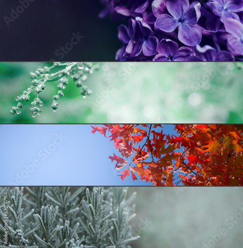 Four Seasons Banners Set. Collection of Spring Summer autumn and Winter backgrounds in wide format with blurred copy space.