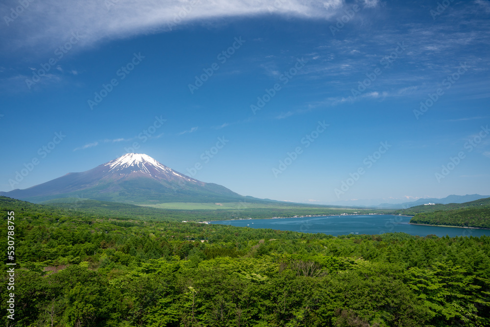 Obraz premium パノラマ台から見る富士山と山中湖