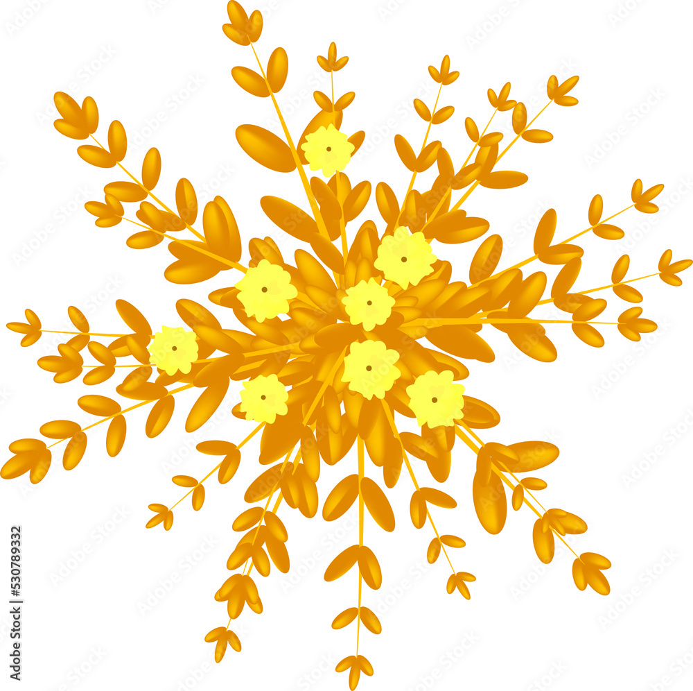 shrub. Top view of bushes for architectural and landscape design. Set of vector plants and trees in different colors. Graphics isolated on white. Ornamental shrubs. Elements for design projects. Green shrub. Top view of bushes for architectural and landscape design. Set of vector plants and trees in different colors. Graphics isolated on white. Ornamental shrubs. Elements for design projects. Green