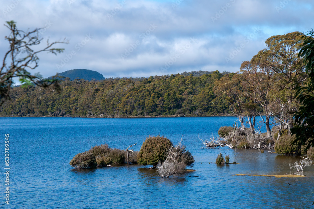 Lake St Clair Australia, view across bay to headland with submerged bushes in foreground