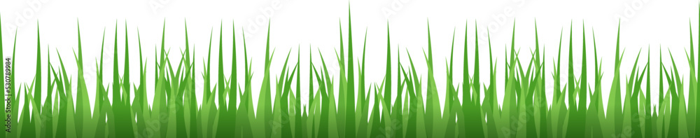 Naklejka premium Lawn border. Green grass. Bright meadow plants