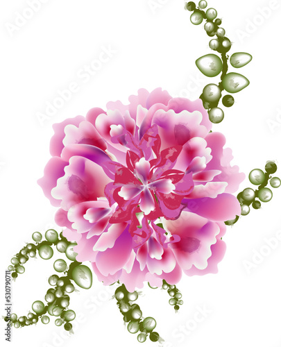 Peony flower bloom botany card. Watercolor vector illustration