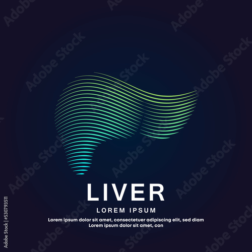 Human liver medical structure. Vector logo liver color silhouette on a dark background. liver care logo vector template suitable for organization, company, or community. EPS 10