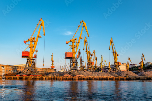 Working port cranes in the industrial area photo