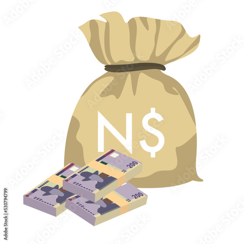 Namibian Dollar Vector Illustration. Namibia money set bundle banknotes. Money bag 200 NAD. Flat style. Isolated on white background. Simple minimal design.