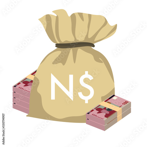 Namibian Dollar Vector Illustration. Namibia money set bundle banknotes. Money bag 100 NAD. Flat style. Isolated on white background. Simple minimal design.