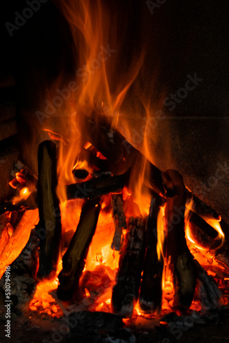 Firewood logs burning in a bonfire