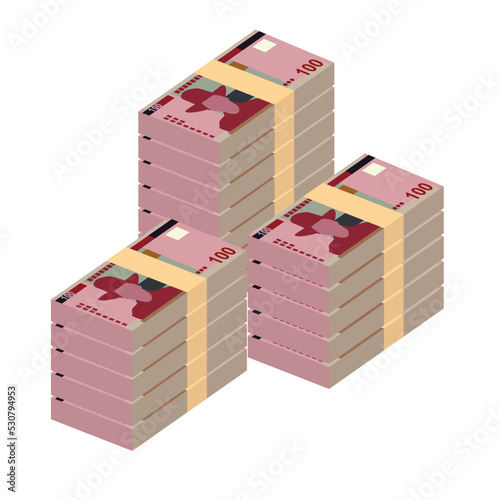 Namibian Dollar Vector Illustration. Namibia money set bundle banknotes. Paper money 100 NAD. Flat style. Isolated on white background. Simple minimal design.