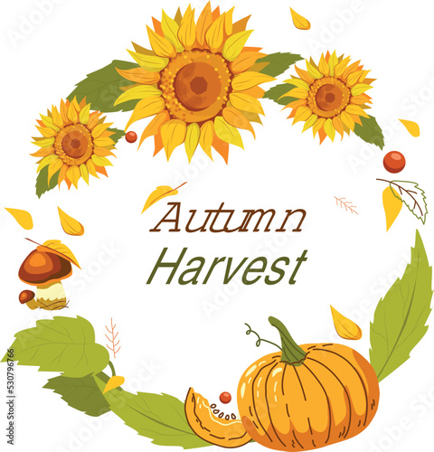Autumn harvest greeting banner with sunflowers, pumpkins and mushrooms. Vector illustration in hand-drawn style on a white background for decorations