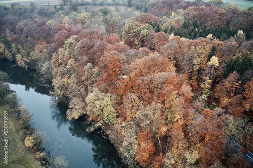 Aerial view of forest beside a river in beautiful autumn. Colorful Trees in yellow, red and green from above.