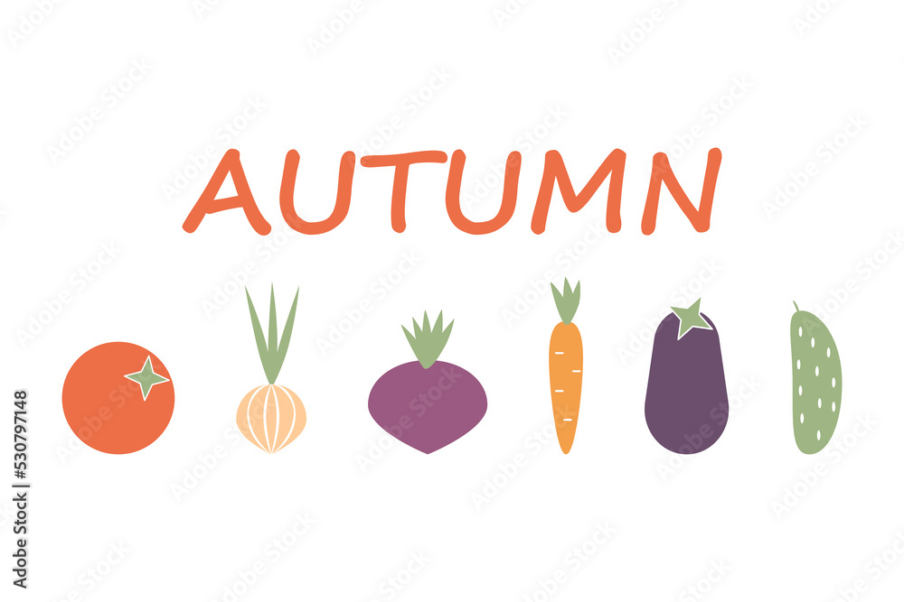 Vegetable set in a simple flat style. vector illustration