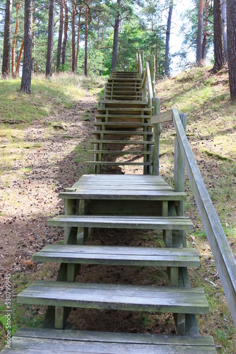 Fototapeta Naklejka Na Ścianę i Meble -  wooden stairs in forest