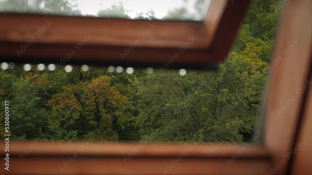 View from open window on green trees at rainy cloudy day with raindrops falling