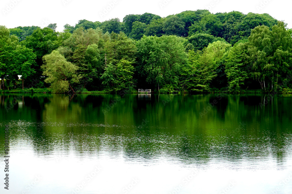 Wald dichter Baumbestand an einem Seeufer Spiegelung der Bäume auf dem Wasser Steg Plattform aus Holz für Angler am Wasser von Bäumen umrahmt