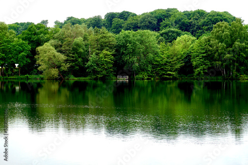 Wald dichter Baumbestand an einem Seeufer Spiegelung der B  ume auf dem Wasser Steg Plattform aus Holz f  r Angler am Wasser von B  umen umrahmt