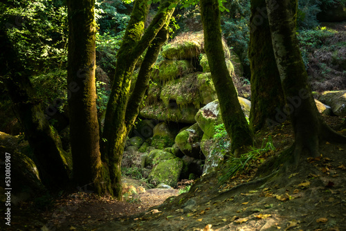 Forêt de Huelgoat