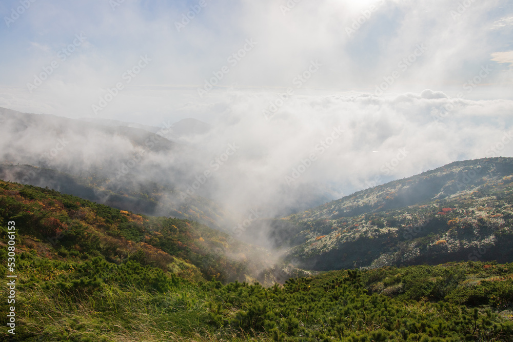 谷の霧