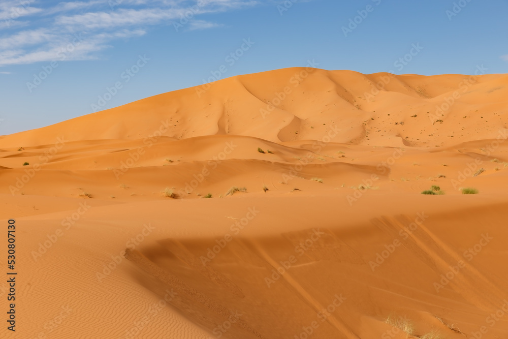 sand dunes in the sahara desert