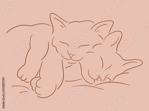 Vector sketch of two sleeping kittens cuddle and purr. Cute cats sleep together. Pets friendly concept