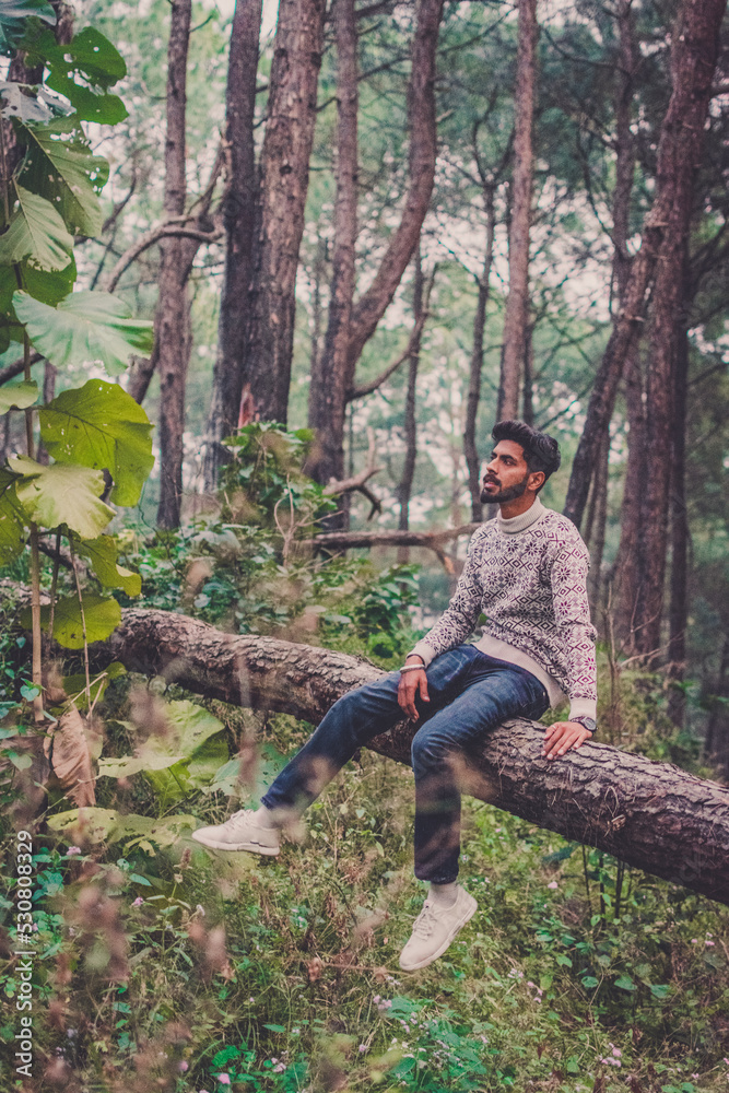 Man sitting on a Tree in the Pine Forest looking - Vintage Hippie style Travel concept Man sitting on a Tree in the Pine Forest looking - Vintage Hippie style Travel concept