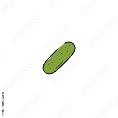 cucumber icon, vector illustration