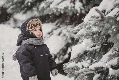 Portrait of a beautiful little European boy in winter under a snow-covered fir tree in the park. The concept of childhood and lifestyle.
