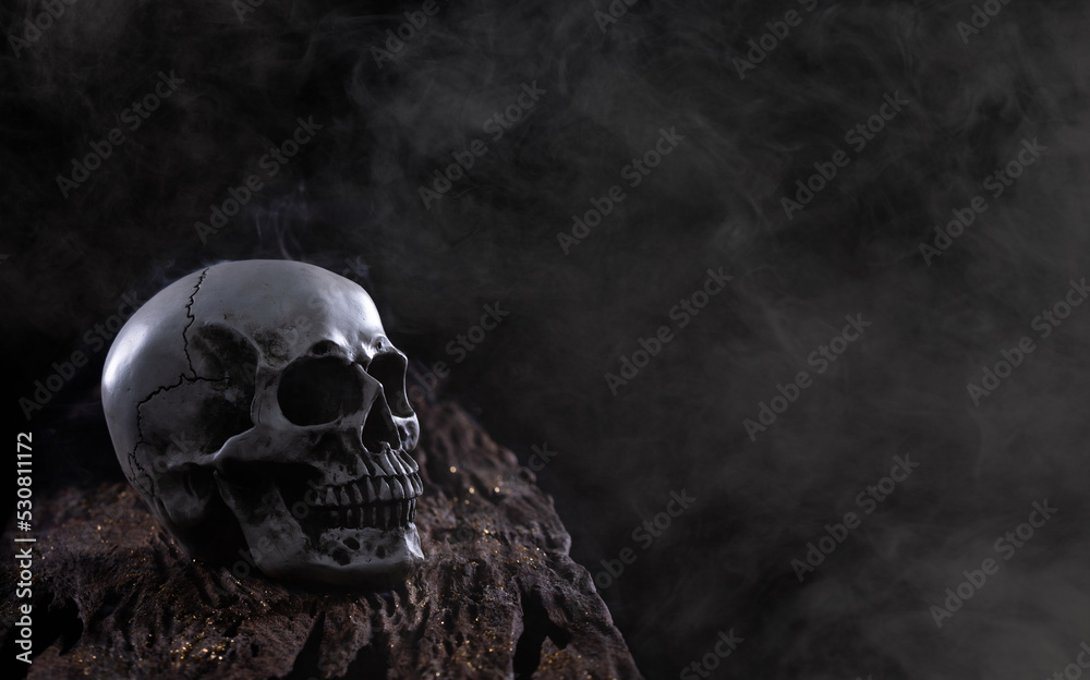 Halloween human skull on an old wooden table over black background. Shape of skull bone for Death head on halloween festival which show horror evil tooth fear and scary with fog smoke, copy space Halloween human skull on an old wooden table over black background. Shape of skull bone for Death head on halloween festival which show horror evil tooth fear and scary with fog smoke, copy space