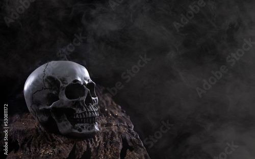 Halloween human skull on an old wooden table over black background. Shape of skull bone for Death head on halloween festival which show horror evil tooth fear and scary with fog smoke, copy space © Jade