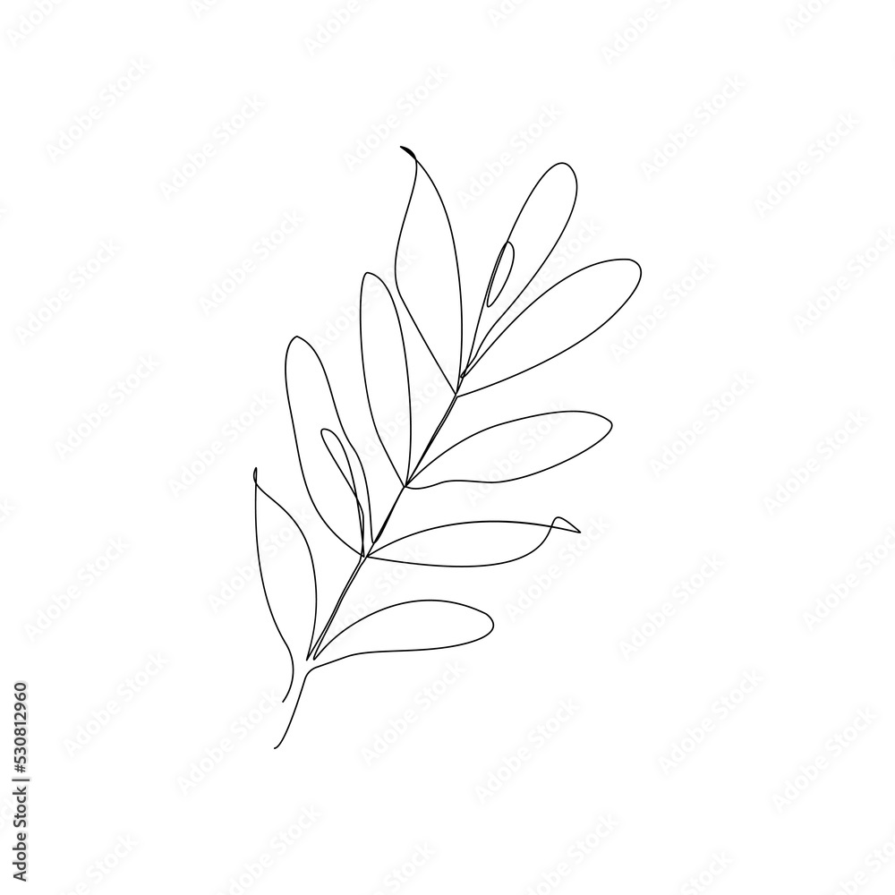 Eucalyptus leaves . One line drawing art.Vector illustration Eucalyptus leaves . One line drawing art.Vector illustration