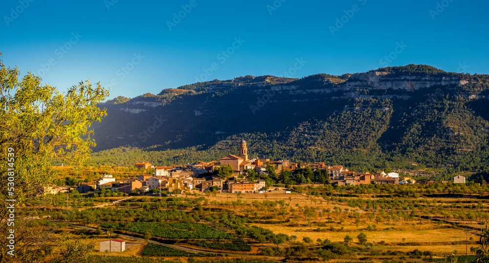 panoramic view of Ulldemolins, in Spain - obrazy, fototapety, plakaty 