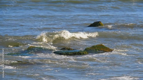 Stones covered with green mud peek out of the water. Sea waves cover old boulders on the seashore. Extreme Ocean Wave. Power of waves breaking splashing sea-spray water foam