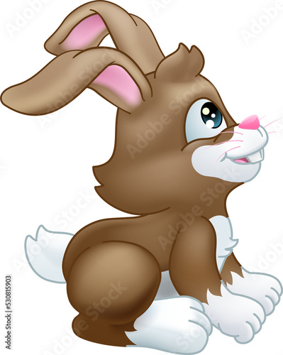 Easter Bunny Rabbit Cartoon Character Mascot photo