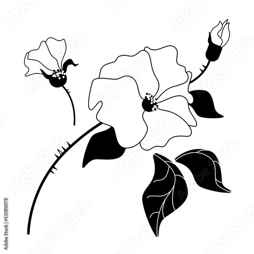 Foto Minimalistic black and white set of Rosehip or dog rose graphic simbol, vector e