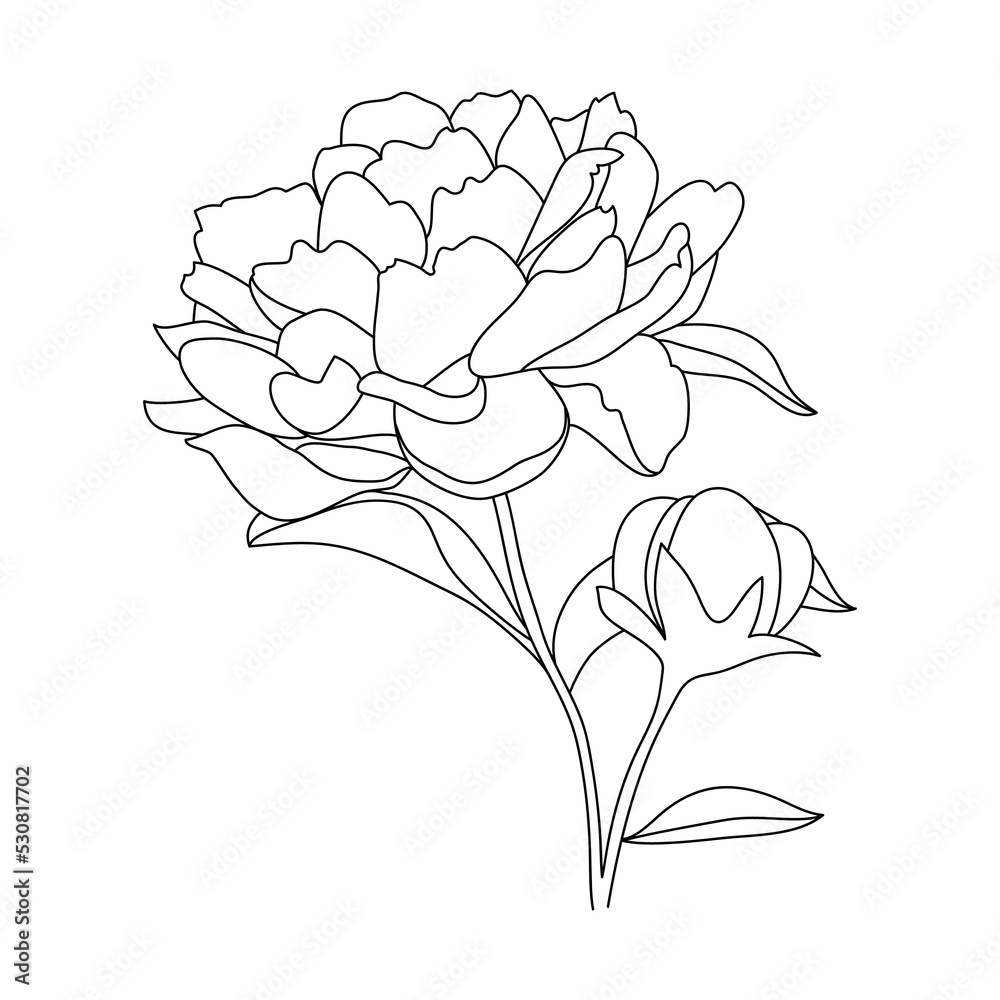 Hand drawing and sketch Peony flower. Black and white with line art illustration.