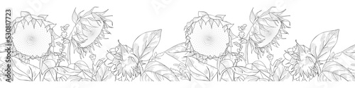 Wildflowers seamless vector border.
Black and white sketch. Floral design element.
Realistic hand drawn sunflowers.