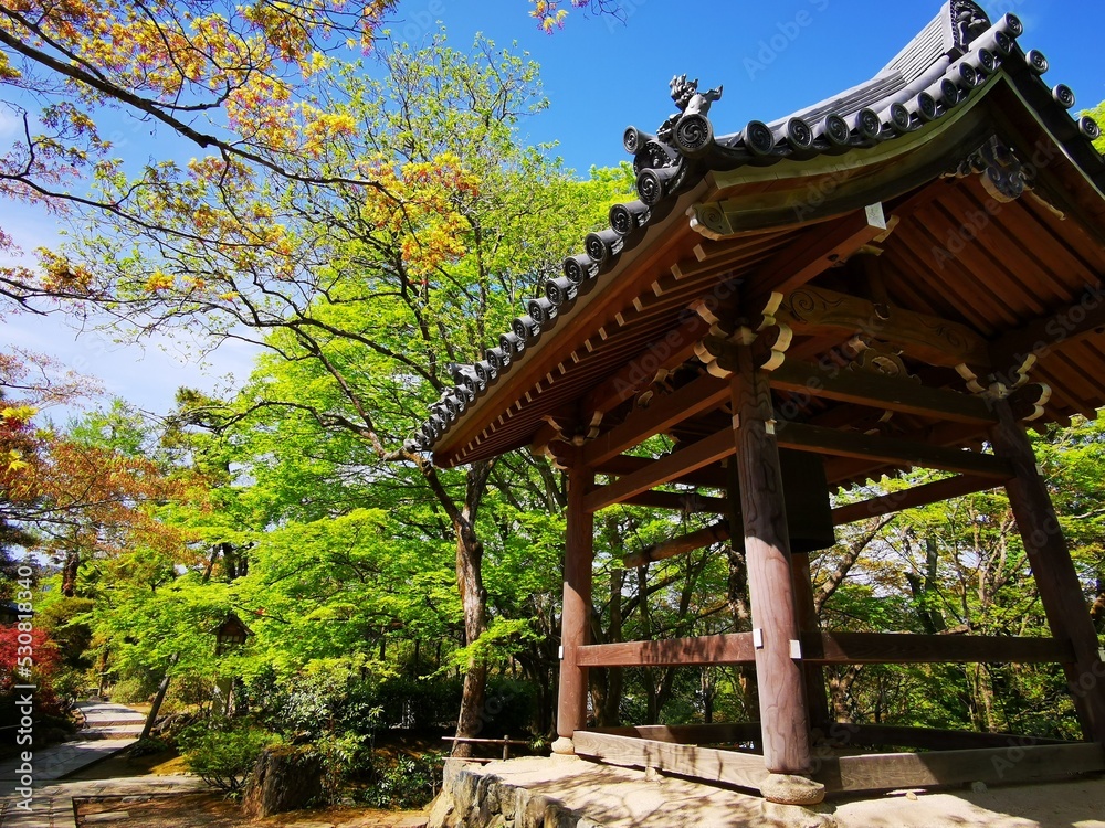 京都　秋が近づく常寂光寺