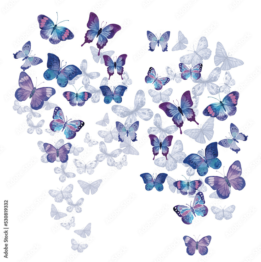 Fototapeta premium mixed butterfly print on plain ground 