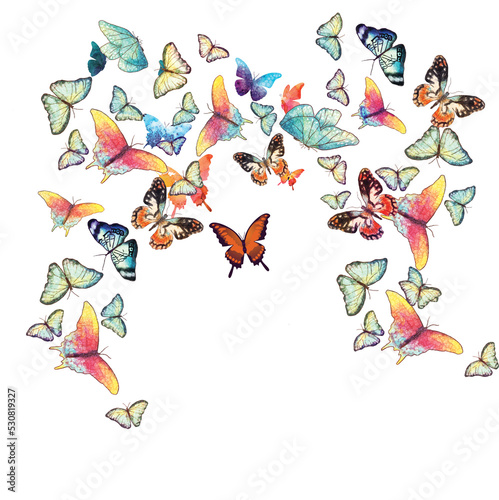 mixed butterfly print on plain ground 