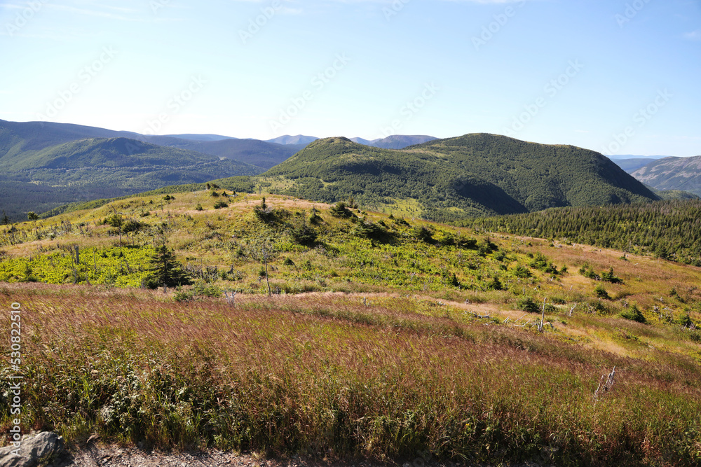 Mont Laforce trail at Gaspesie NP, Canada