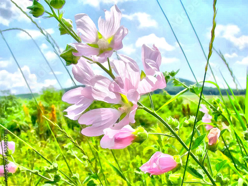 Beautiful pink flowers and Blue sky with cloud. Pink flower plant blooming in the nature.Watercolor drawing picture