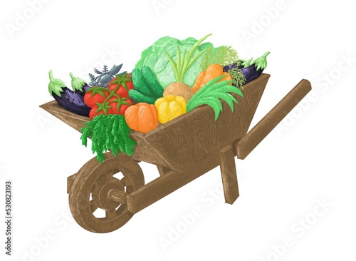 Garden wooden wheelbarrow with vegetables and herbs